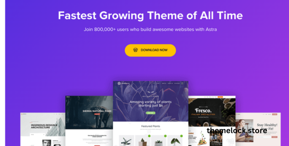 Astra pro v4.8.6 WordPress Theme